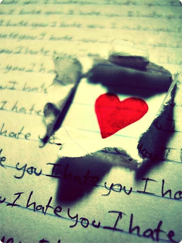 Amazed by the Miami Heat Hate